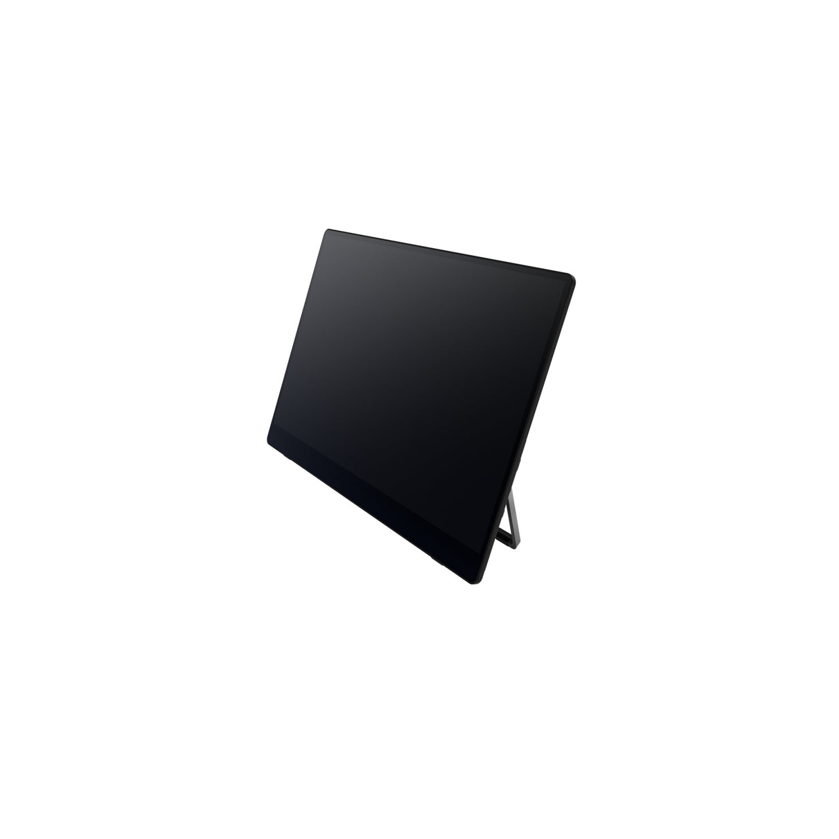 Ricoh Portable Monitor 150 - 514909