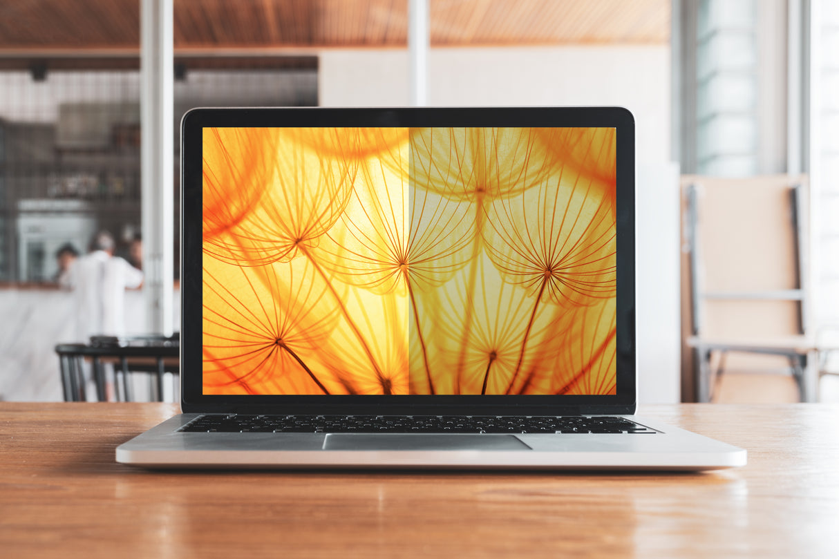 3M Bright Screen Privacy Filter for Dell™ XPS™ 16, 16:10, BPNDE007 - BPNDE007