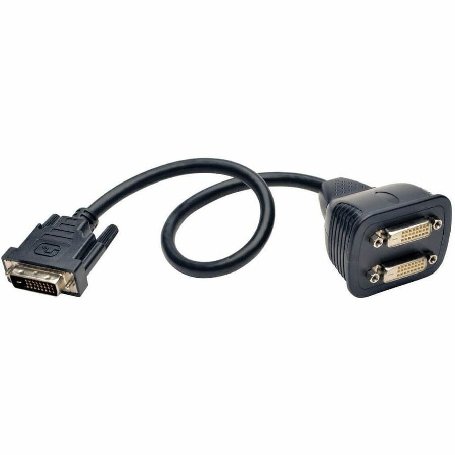 Tripp Lite 1' DVI-D Y Splitter Video Monitor Cable DVI Male / 2x Female 1' - (DVI-D M to 2x F) 1-ft. - P564-001
