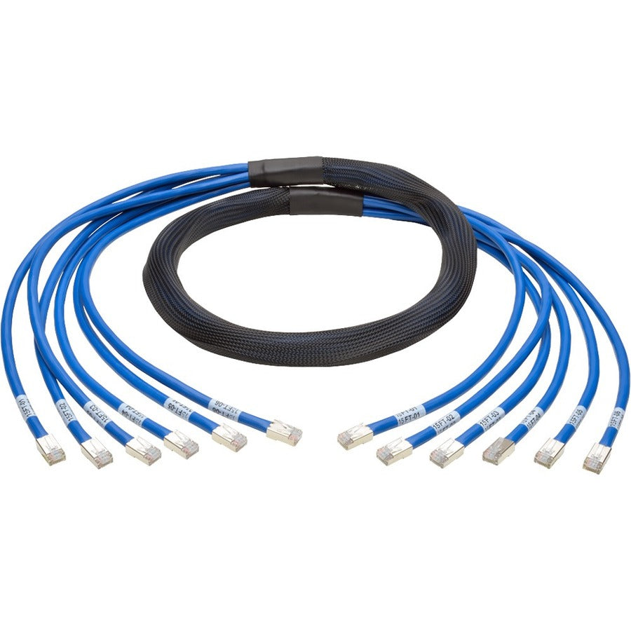 Tripp Lite 10ft Augmented Cat6 Cat6a Pre-Terminated Copper Trunk Bundle 6xRJ45 M/M 10' - 10 ft Category 6a Network Cable for Network Device, Switch, Patch Panel - First End: 6 x RJ-45 Network - Male -... - N261-010-6MM-BL