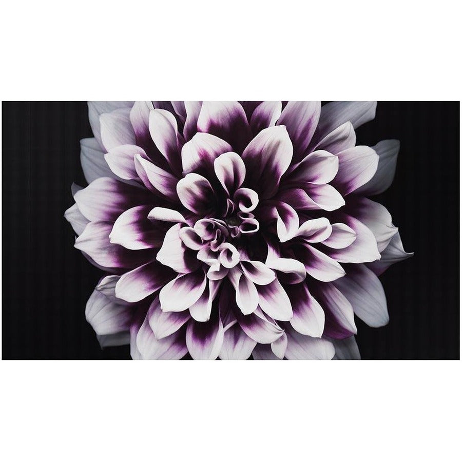 Samsung The Wall IW008J Digital Signage Display - LCD - 3840 x 2160 - LED - 500 Nit - 2160p - Black - IW008J