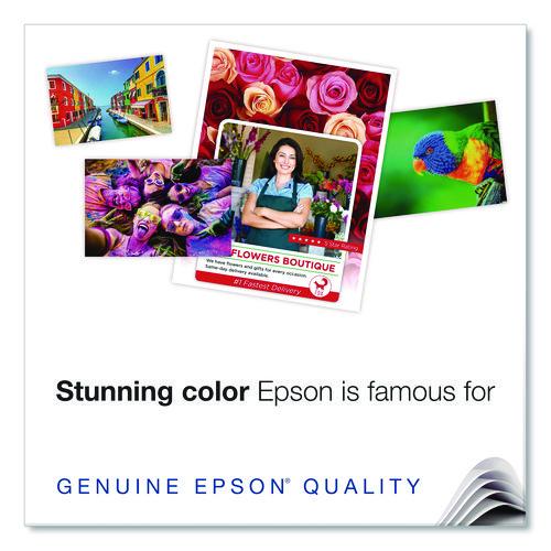 EPSON Legacy Etching Professional Media, 20 mil, 17 x 22, Textured Matte White, 25/Pack - S450093