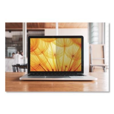 Bright Screen Privacy Filter for 17" Widescreen 2-in-1/Laptop, 16:10 Aspect Ratio - BP170W1B