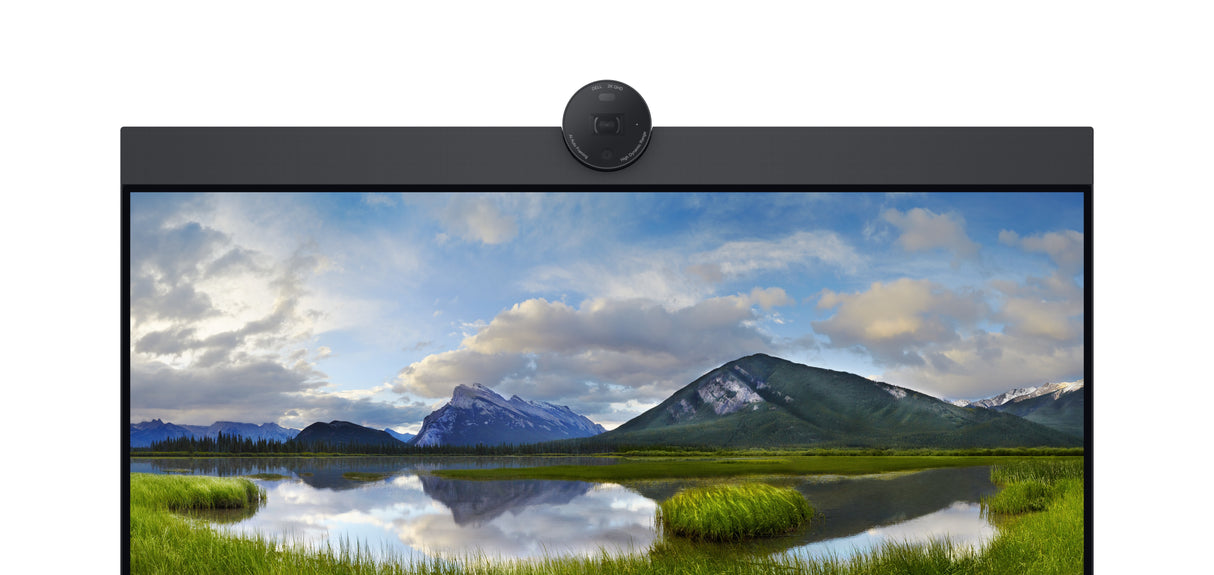 DELL P2424HEB 60.5 cm (23.8") LCD 1920 x 1080 pixels Full HD - DELL-P2424HEB DELL