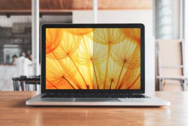 3M BP145W1B display privacy filter 36.8 cm (14.5") Laptop Frameless display privacy filter - BP145W1B