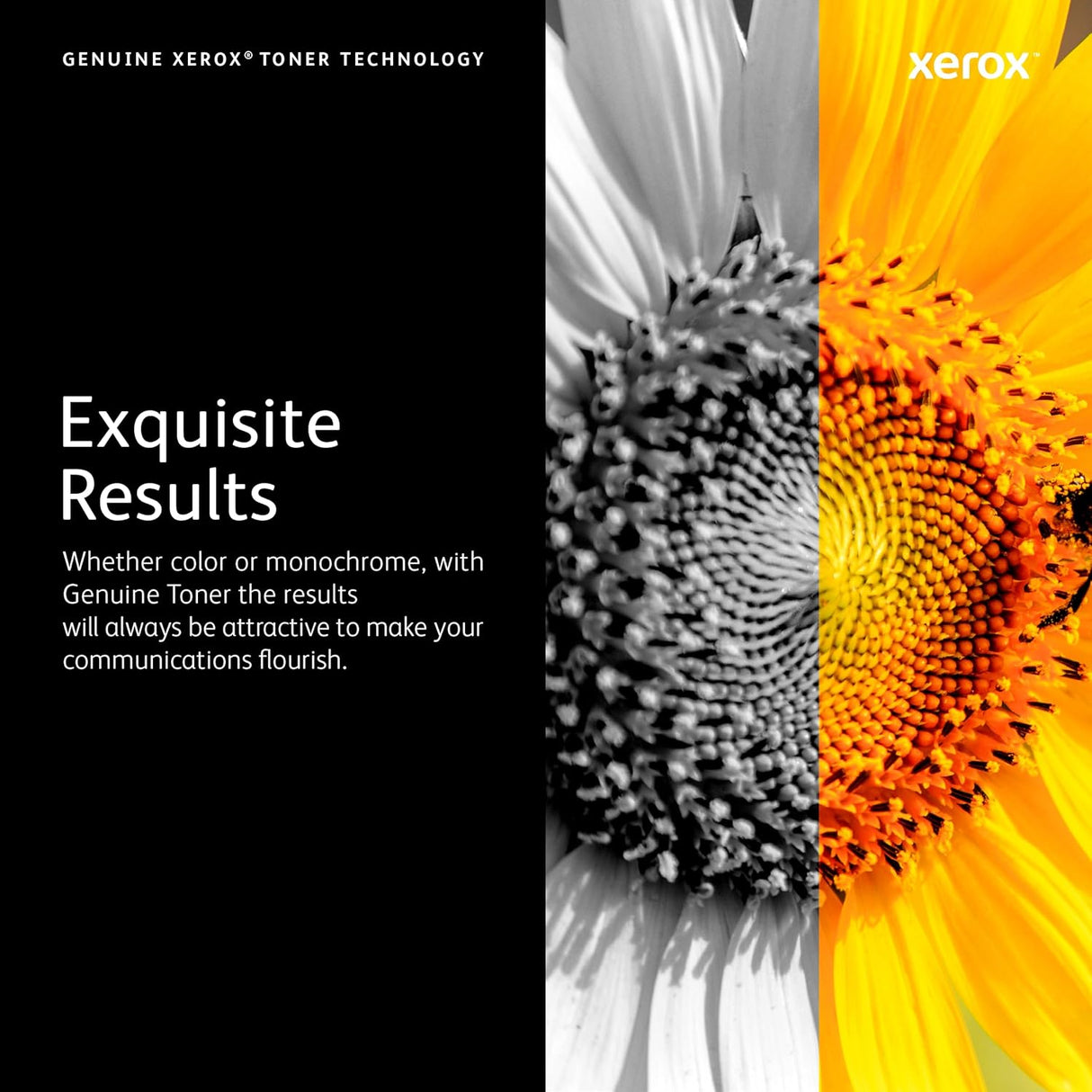 Xerox Phaser 6700 High Capacity Yellow Toner Cartridge Yields 12,000 Pages - 106R01509 XEROX