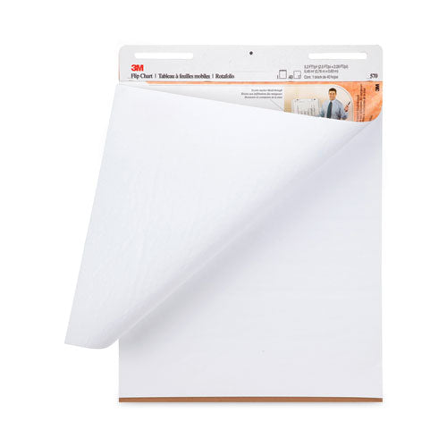 3M Professional Flip Chart, Unruled, 25 x 30, White, 40 Sheets, 2/Carton - 570