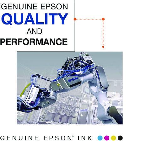 EPSON UltraChrome GS3 Ink, Dark Gray - T800700