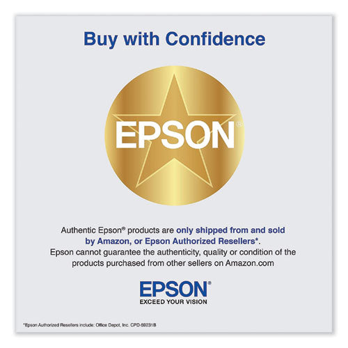 EPSON Ink, Photo Black - T850100