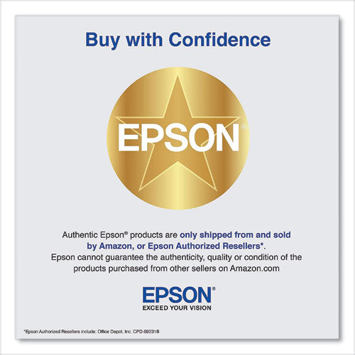 EPSON Ink, Light Black - T850700