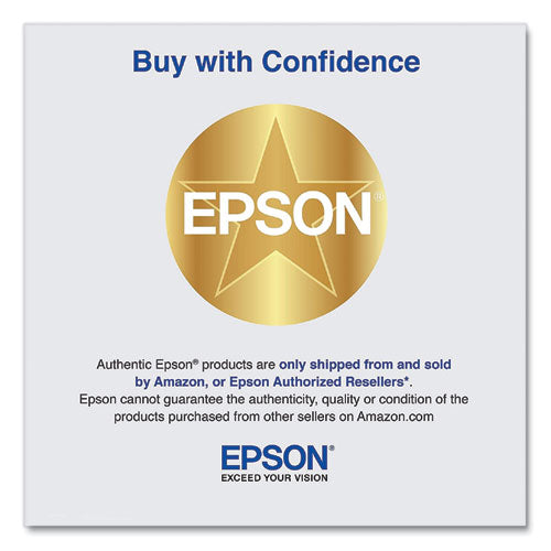 EPSON (T770) UltraChrome PRO10 Ink, 25 mL, Gray - T770720