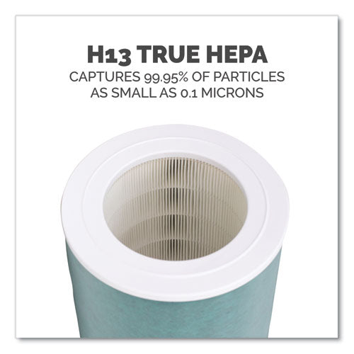 FELLOWES AeraMax SE Combo Filter, 10.87" x 14.75" - 9787801