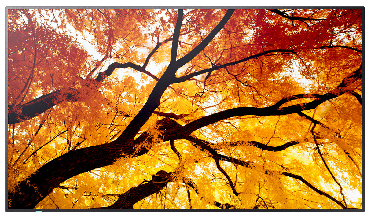 Sharp MultiSync M552 Digital signage flat panel 139.7 cm (55") LCD 550 cd/m² 4K Ultra HD Black Touchscreen - PN-M552
