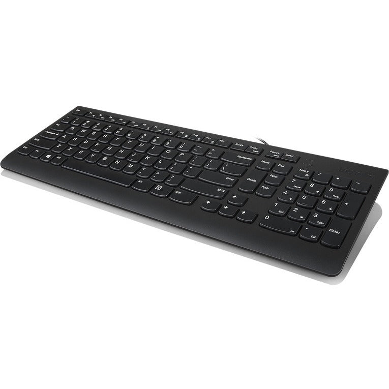 Lenovo 300 keyboard USB QWERTY English Black - GX30M39655