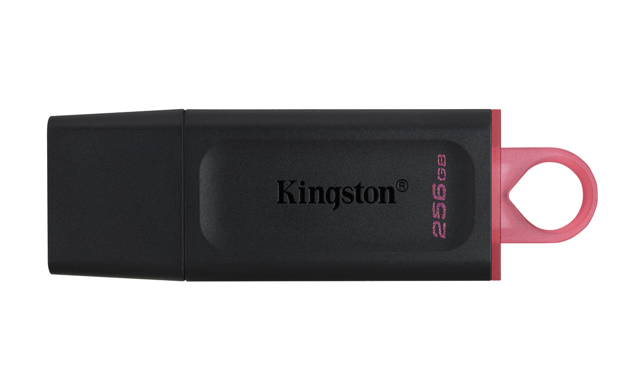 Kingston Technology DataTraveler Exodia - USB 3.2 Flash Drive - DTX/256GB