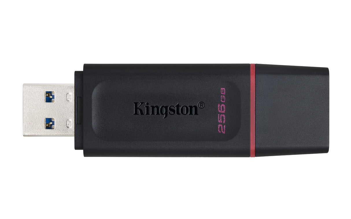 Kingston Technology DataTraveler Exodia - USB 3.2 Flash Drive - DTX/256GB