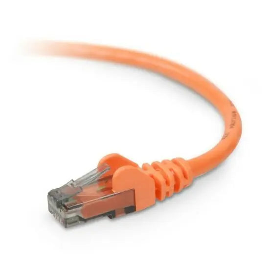 BELKIN Belkin Cat. 6 Patch Cable - RJ-45 Male - RJ-45 Male - 1ft - Orange - A3L980-01-ORG-S