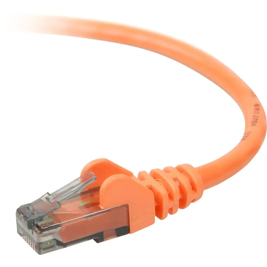 BELKIN Belkin Cat. 6 UTP Patch Cable - RJ-45 Male - RJ-45 Male - 14ft - Orange - A3L980-14-ORG-S