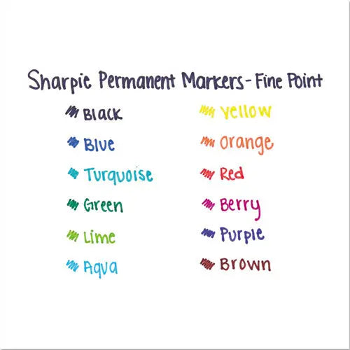 DYMO DYMO Fine Tip Permanent Marker, Fine Bullet Tip, Black, Dozen - 30001B