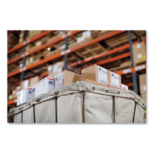 DYMO DYMO LW Extra-Large Shipping Labels, 4" x 6", White, 220 Labels/Roll, 2 Rolls/Pack - 2026405