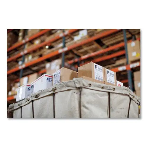 DYMO DYMO LW Extra-Large Shipping Labels, 4" x 6", White, 220 Labels/Roll, 2 Rolls/Pack - 2026405