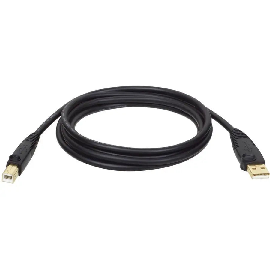 EATON Tripp Lite 6ft USB Cable Hi-Speed Gold Shielded USB 2.0 A/B Male / Male - Type A Male USB - Type B Male USB - 6ft - U022-006