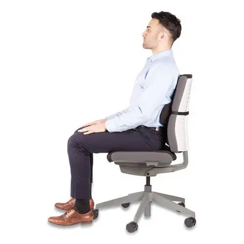 FELLOWES FELLOWES Lumbar Back Support, 12 x 3.13 x 5.19, Black - 9190701