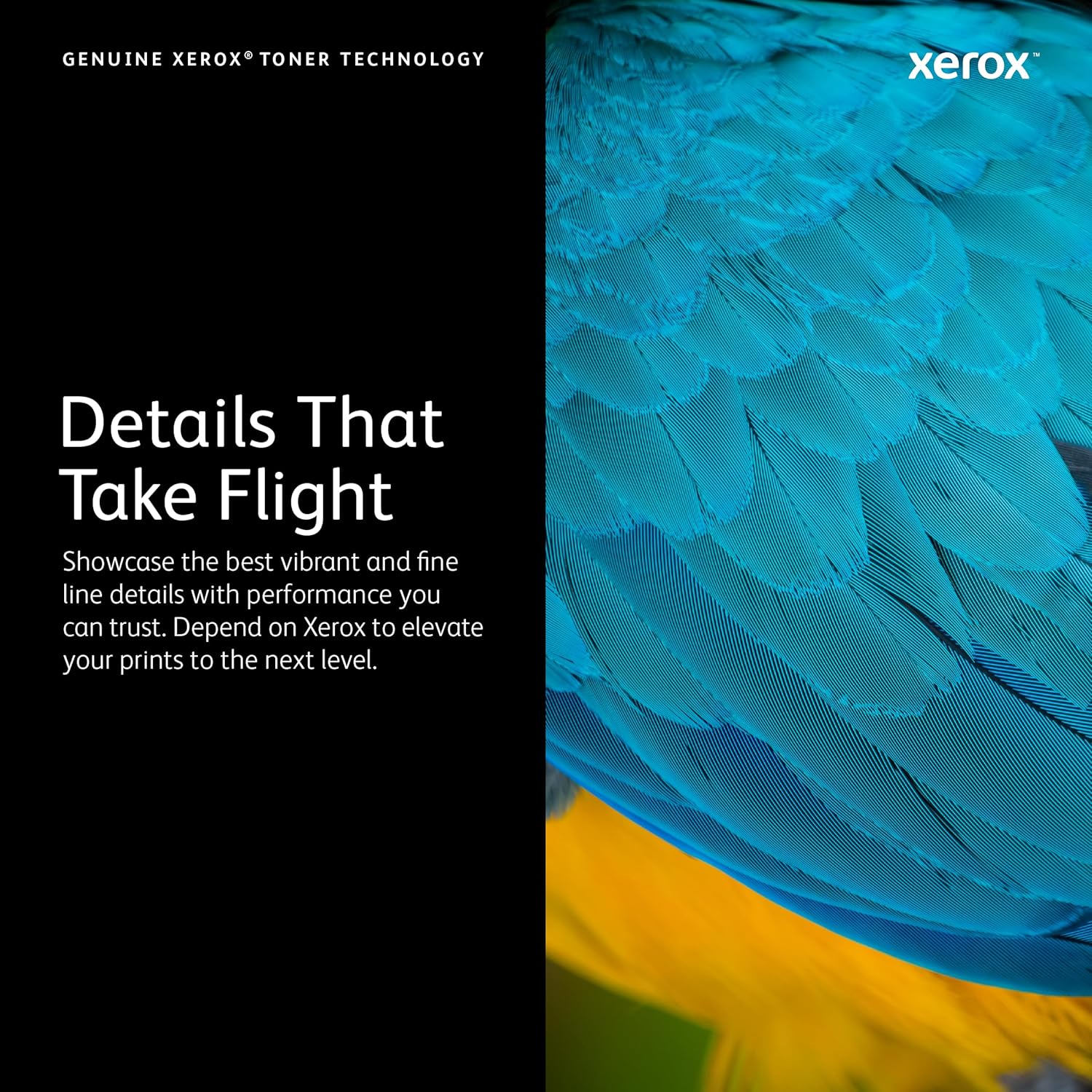 Xerox Genuine Phaser 3610 / WorkCentre 3615 Extra High Capacity Toner Cartridge - 106R02731 - 106R02731