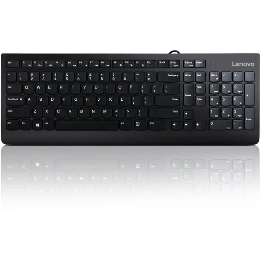 LENOVO Printers/Printer Accessories Lenovo 300 keyboard USB QWERTY English Black - GX30M39655