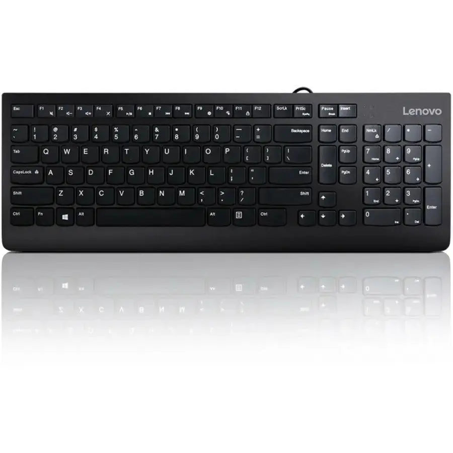 LENOVO Printers/Printer Accessories Lenovo 300 keyboard USB QWERTY English Black - GX30M39655