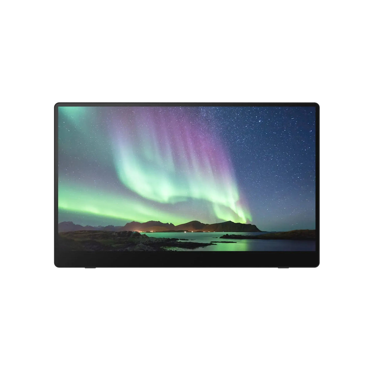 RICOH Ricoh Portable Monitor 150 - 514909