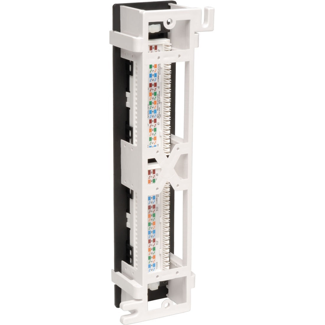 Tripp Lite 12-Port Cat6 Wall Mount Vertical 110 Patch Panel RJ45 TAA GSA - 12 x RJ-45 - N250-012