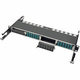 Tripp Lite 40Gb High Density Pass-Through Cassette 12 12-Fiber MTP/MPO - (x12) 12-Fiber MTP/MPO - N484-12M12