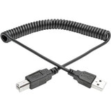 Tripp Lite 10ft Hi-Speed USB 2.0 to USB B Cable Coiled USB A-B M/M 10' - USB for Scanner, Notebook - 60 MB/s - 10 ft - 1 x Type A Male USB - 1 x Type B Male USB - Nickel Plated - Shielding - Black - U022-010-COIL
