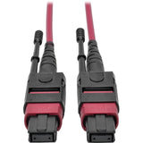 Tripp Lite 10M MTP MPO Multimode Patch Cable 12 Fiber 40/100Gb OM4 50/ 125 CMP - MMF 40/100gb - N845-10M-12-MG