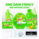 Flings Detergent Pods, Gain Original Scent, 112 Pods, 80 oz Tub - 02446 C2G