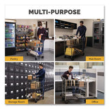 FELLOWES Wire Mail Cart, Metal, 2 Bins, 21.5" x 37.5" x 39.5", Chrome - 40912