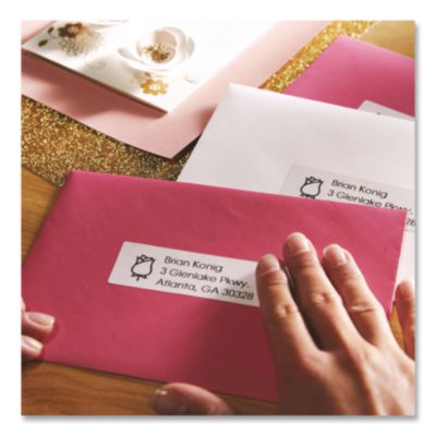 LabelWriter Address Labels, 1.12" x 3.5", White, 260 Labels/Roll, 2 Rolls/Pack - 30572