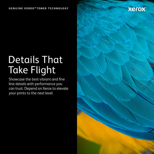 Xerox VersaLink C50X Cyan Drum Cartridge (40,000 pages) - 108R01481