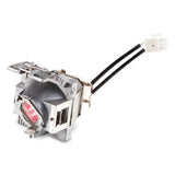 Viewsonic RLC-119 projector lamp - RLC-119