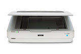Epson Expression 13000XL Flatbed scanner 2400 x 4800 DPI A3 White - B11B257201
