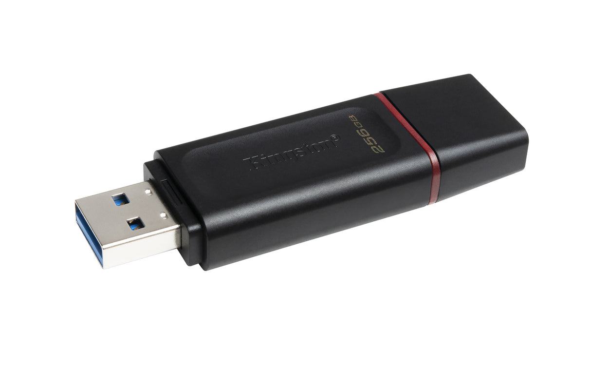 Kingston Technology DataTraveler Exodia - USB 3.2 Flash Drive - DTX/256GB