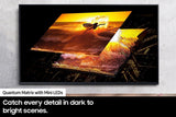 Samsung The Terrace 65 Inch Class - QN65LST9DAFXZA