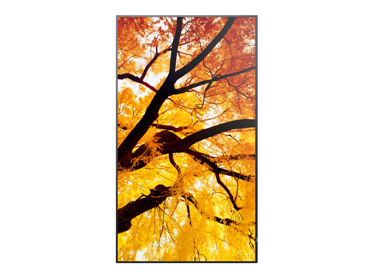 Sharp MultiSync PN-M982 Interactive flat panel 2.48 m (97.5") LED 550 cd/m² 4K Ultra HD Black 24/7 - PN-M982