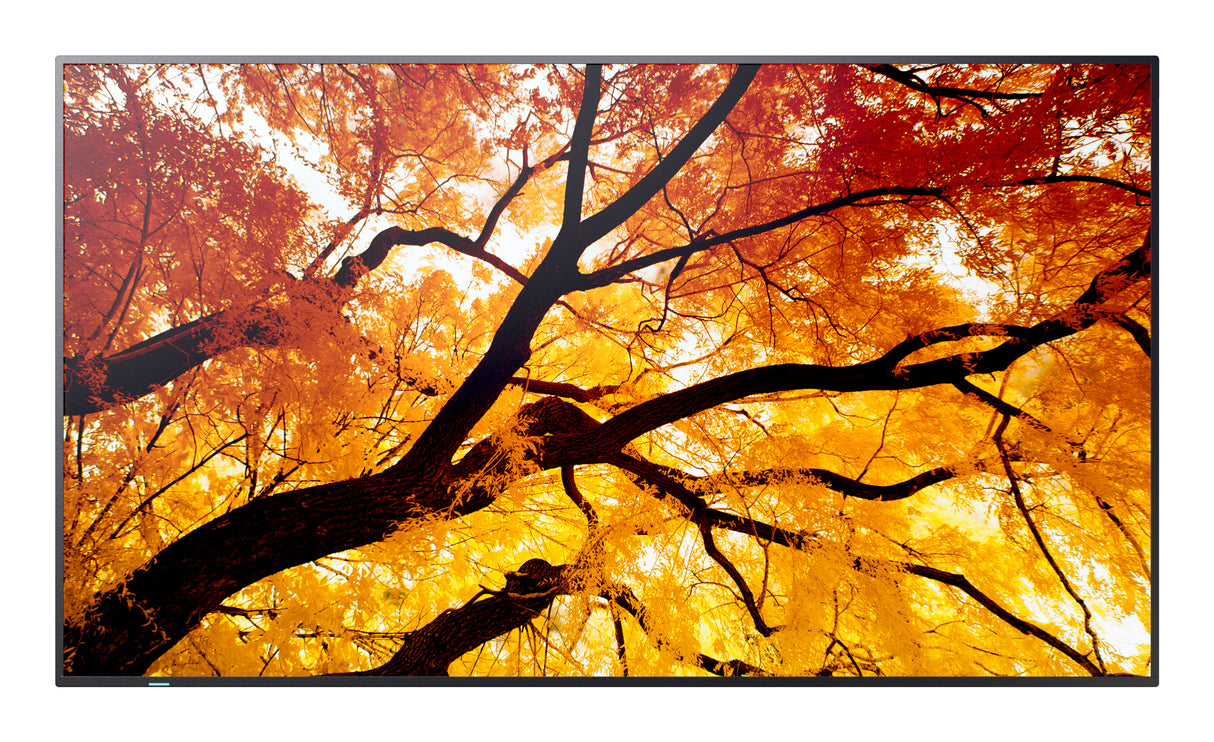 Sharp MultiSync M432 Digital signage flat panel 108 cm (42.5") LCD 550 cd/m² 4K Ultra HD Black - PN-M432
