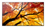 Sharp MultiSync M432 Digital signage flat panel 108 cm (42.5") LCD 550 cd/m² 4K Ultra HD Black - PN-M432