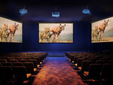 Viewsonic LSD500HD data projector Standard throw projector 5500 ANSI lumens 1080p (1920x1080) White - LSD500HD