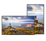 Sharp PN-E439 Digital signage flat panel 109.2 cm (43") LCD 350 cd/m² 4K Ultra HD Black 16/7 - PN-E439