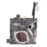 Viewsonic RLC-118 projector lamp - RLC-118