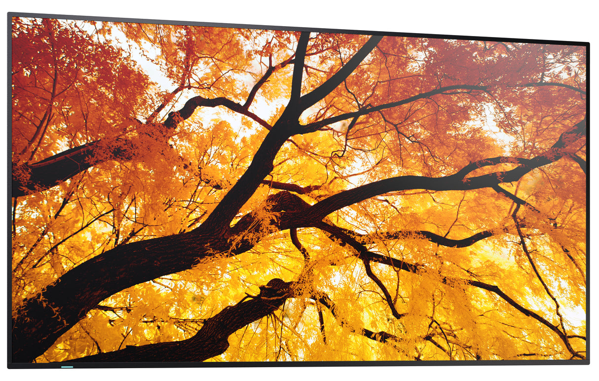 Sharp MultiSync M552 Digital signage flat panel 139.7 cm (55") LCD 550 cd/m² 4K Ultra HD Black Touchscreen - PN-M552